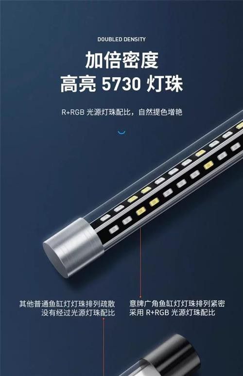 哪種類型的龍魚缸燈更適合？