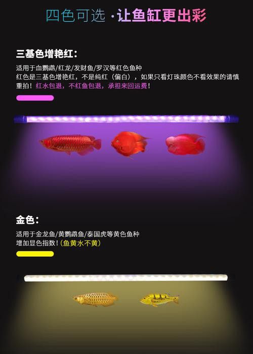 哪種類型的龍魚缸燈更適合？
