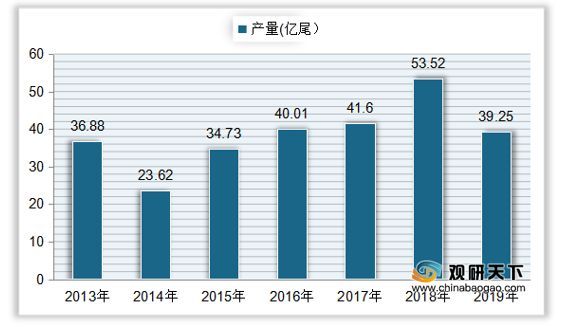 觀賞魚市場價格波動因素分析：影響觀賞魚市場價格的因素