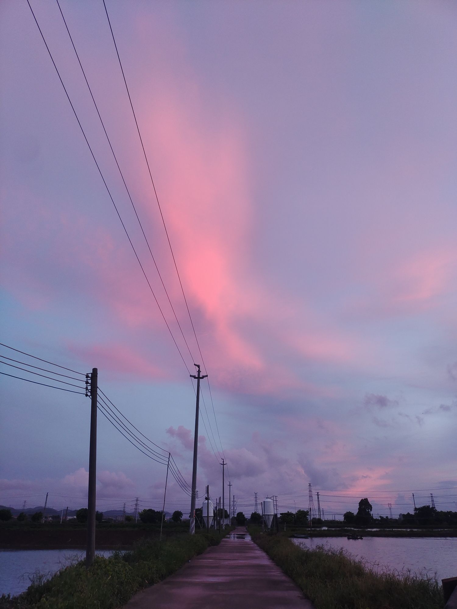 珠海龍魚寄養基地在哪里