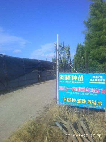 珠海龍魚寄養基地在哪里
