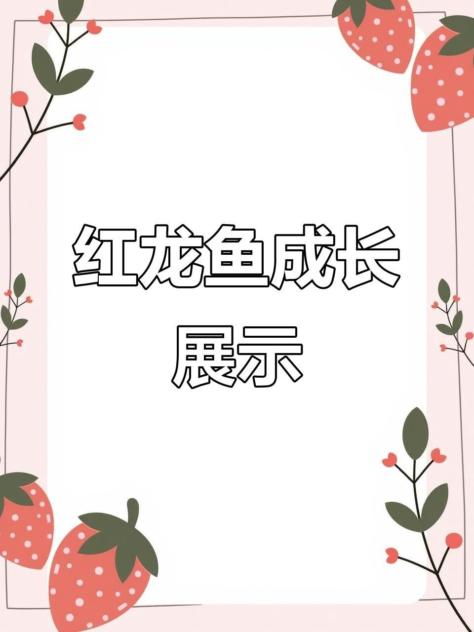 紅龍魚(yú)幼苗的飼養(yǎng)環(huán)境要求