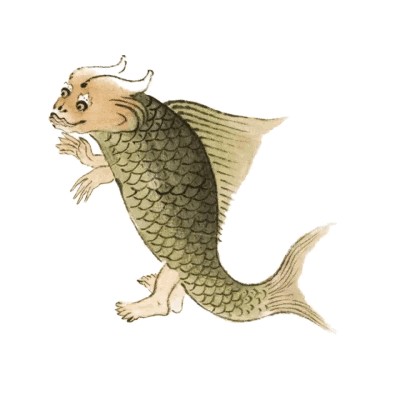 紅龍魚和虎魚混養，紅龍魚和虎魚可以混養嗎