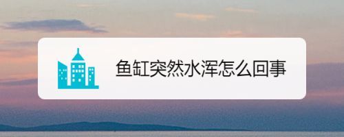 魚缸水突然變渾的原因，如何快速凈化魚缸水質？魚缸硝化系統崩潰怎么辦？
