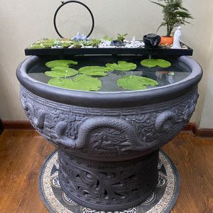 大型龍魚缸效果圖的搜索結果：大型龍魚缸效果圖搜索結果
