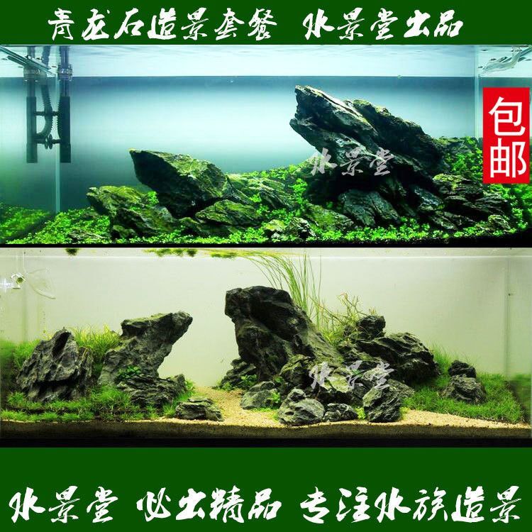 龍魚缸養什么水草好：適合在龍魚缸中養殖的幾種水草