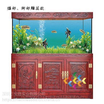 龍魚缸養什么水草好：適合在龍魚缸中養殖的幾種水草