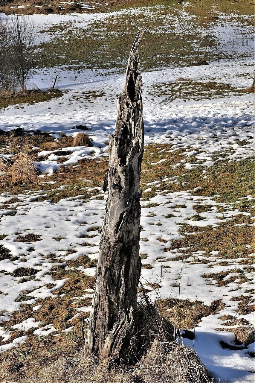 魚缸換水之后魚死了（魚缸換水后魚都死了）