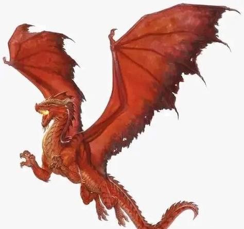 如何挑選發色良好的紅龍魚？