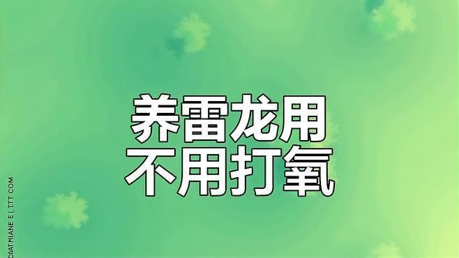 雷龍魚需要打氧嗎