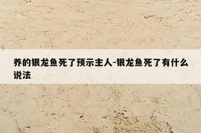 家中養銀龍魚說法（銀龍魚養殖常見誤區,銀龍魚混養效果探究）