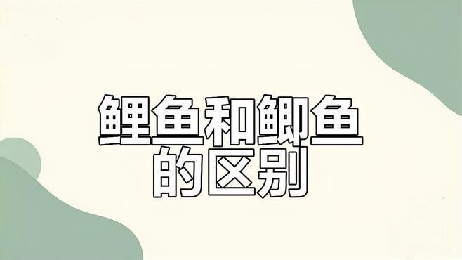 鯉魚和鯽魚區(qū)別