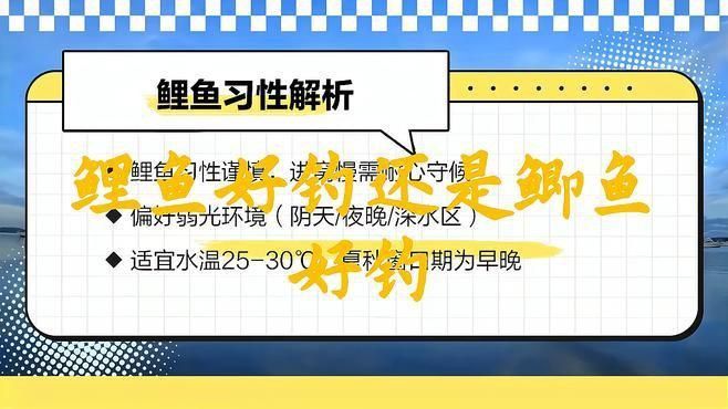 鯉魚和鯽魚區(qū)別