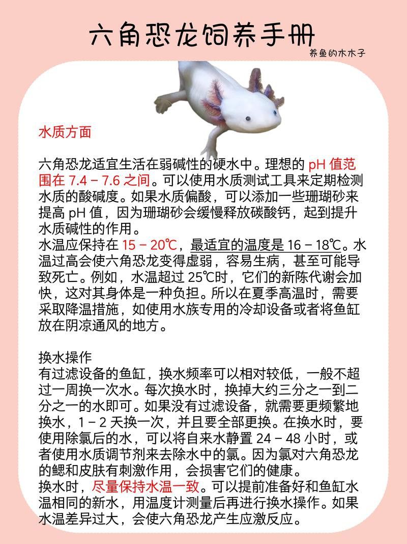 六角恐龍魚圖片大全大圖視頻