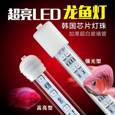 龍魚有芯片和沒有芯片區別在哪：如何查詢龍魚芯片信息，無芯片龍魚的市場現狀