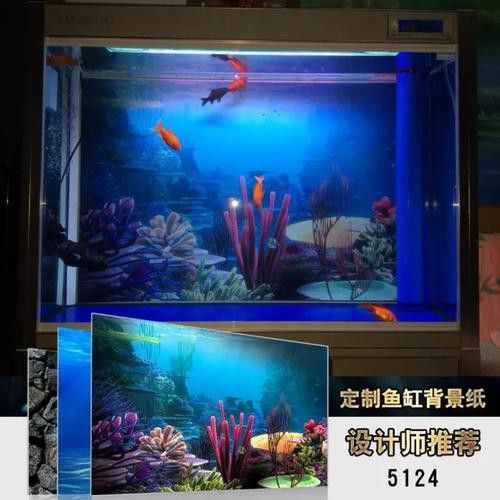 有沒有更多龍魚缸壁紙品牌？