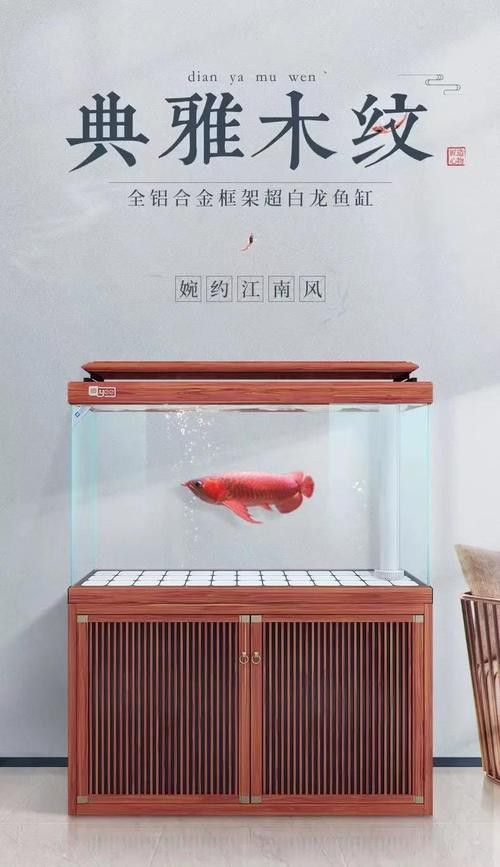 有沒有更多龍魚缸壁紙品牌？