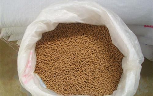 龍魚飼料保存不當的影響：龍魚飼料保存不當可能導致龍魚飼料的質量和營養價值