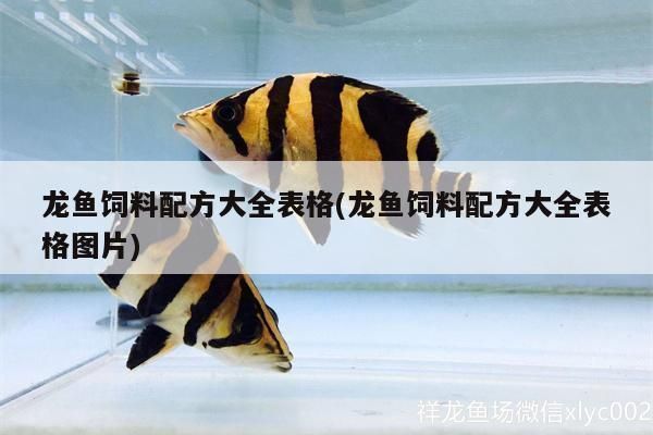 龍魚飼料配方大全圖片高清大圖：龍魚專用飼料品牌推薦，自制龍魚飼料的步驟，龍魚保存方法詳解