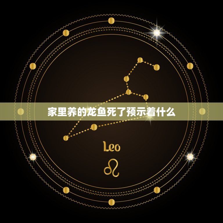 養銀龍魚怎么困水（銀龍魚養殖需要注意水質的處理，其中“困水”是重要的步驟）