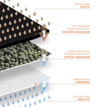 紅龍魚吃什么發(fā)色最好養(yǎng)呢視頻教學大全（紅龍魚吃什么發(fā)色最好養(yǎng)呢視頻教學大全下載）