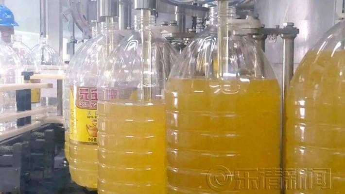 金龍魚產量：金龍魚2024年上半年產量數據