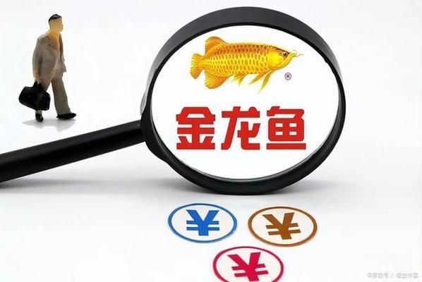 金龍魚產量：金龍魚2024年上半年產量數據