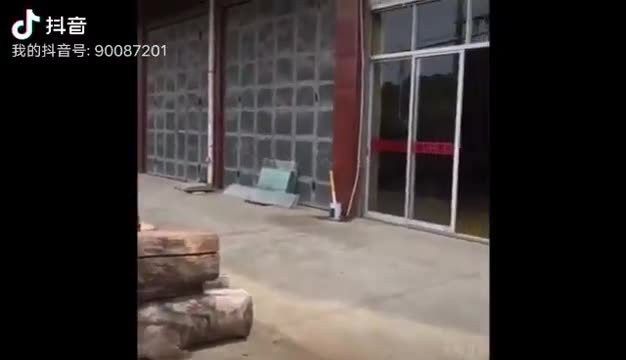 金龍魚擺件有哪些尺寸可選？