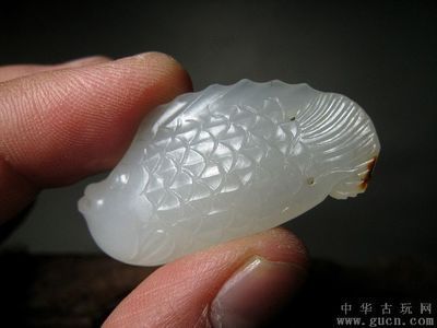 <strong><mark>白玉</mark></strong>金龍魚風水作用與禁忌：養金龍魚的風水講究