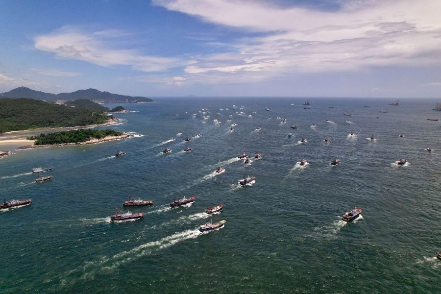 龍躉和石斑魚有什么區別？