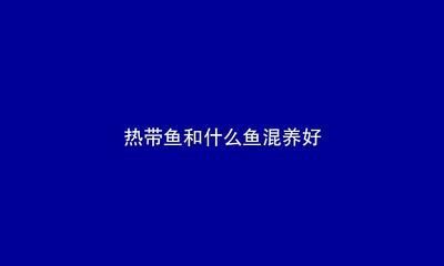 河豚可以和龍魚一起養(yǎng)嗎（關于河豚和龍魚混養(yǎng)的注意事項）