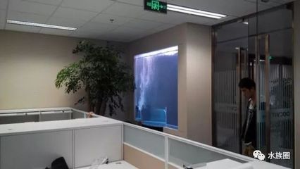魚缸氧泵安裝方法，
