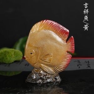 金龍魚吃什么變色快又好看：金龍魚吃什么發色快又好看