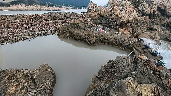 黑龍魚長大了什么樣圖片欣賞