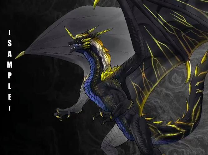 黑龍魚長大了什么樣圖片欣賞