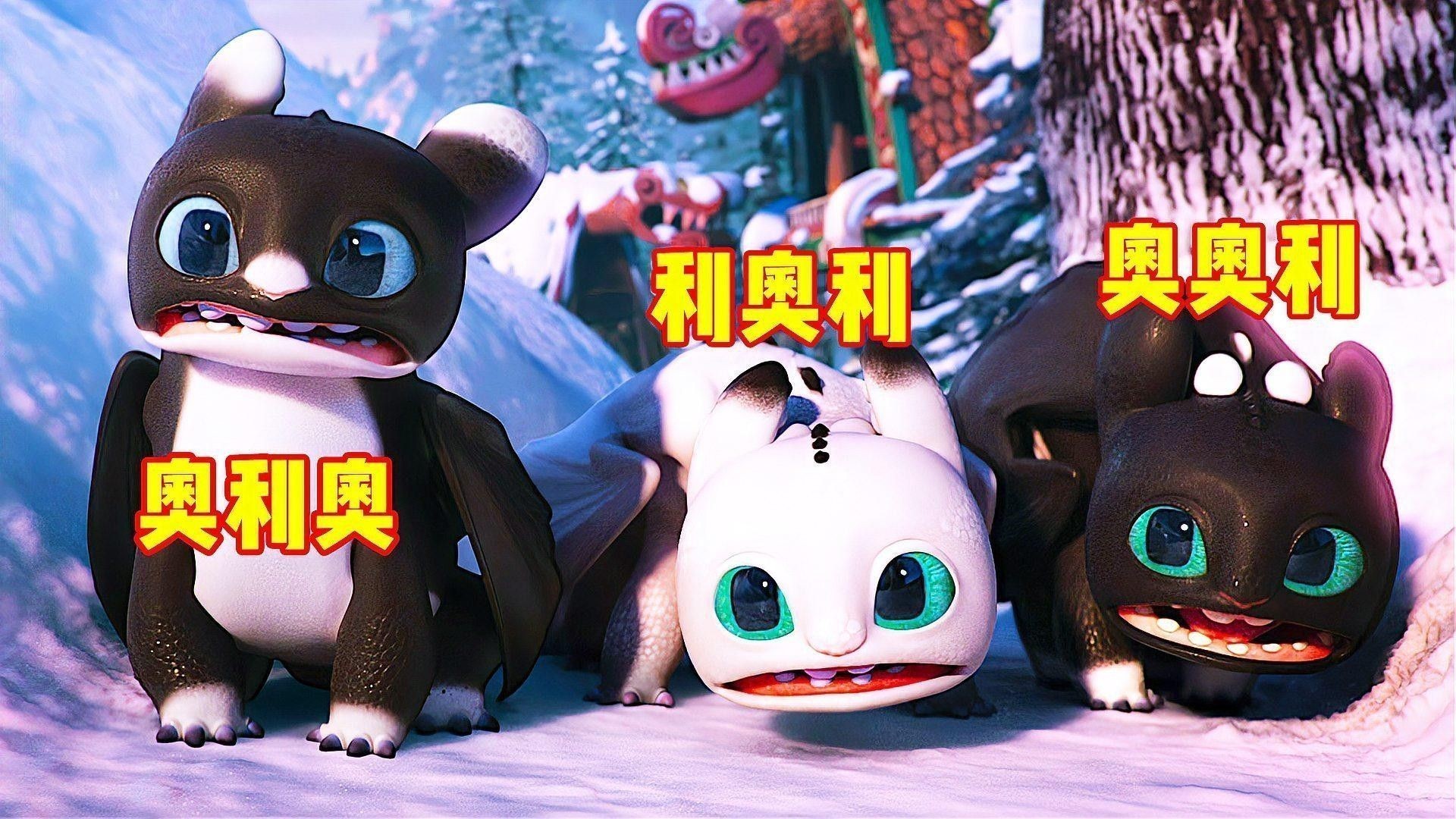 黑龍魚長大了什么樣圖片欣賞