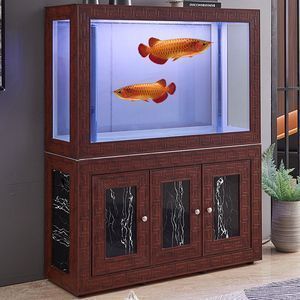 龍魚魚缸十大排名品種：2024年十大龍魚魚缸品牌排名