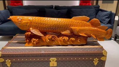 金龍魚擺件擺放多高最好：金龍魚擺件怎么擺放