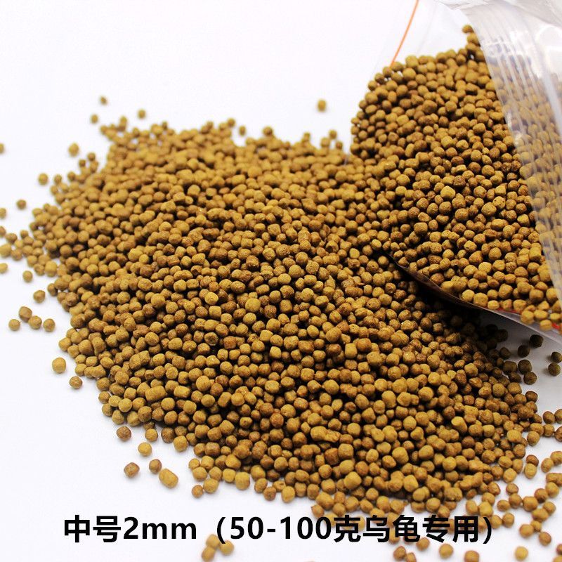 金龍魚可以用黃粉嗎怎么喂：給金龍魚喂食黃粉時，應遵循以下幾點注意事項 金龍魚可以用黃粉嗎怎么喂：給金龍魚喂食黃粉時，應遵循以下幾點注意事項 龍魚百科 第3張