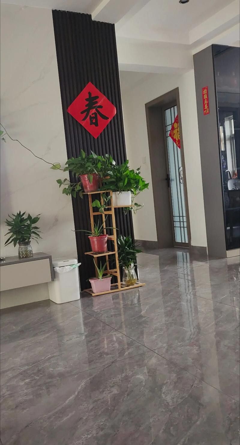 玉石金龍魚擺設(shè)怎么擺放圖片視頻