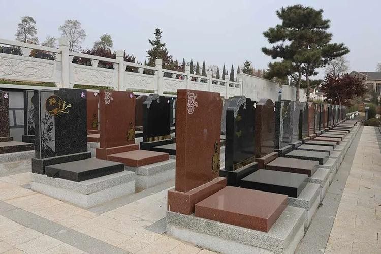 如何預(yù)約參觀龍生墓園？