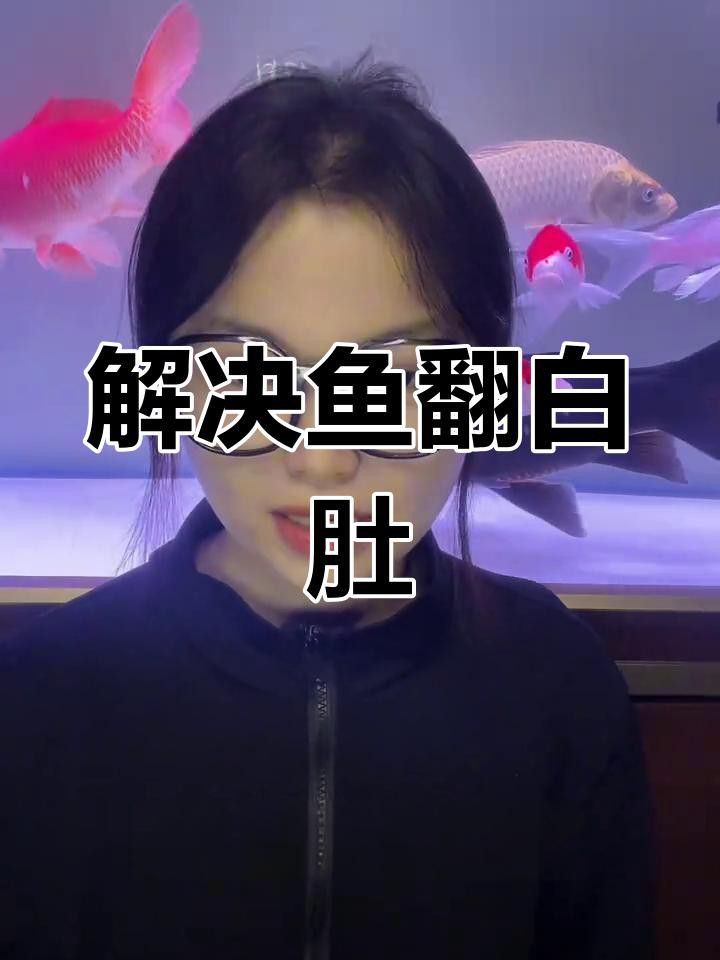 如何判斷龍魚翻肚的病因？