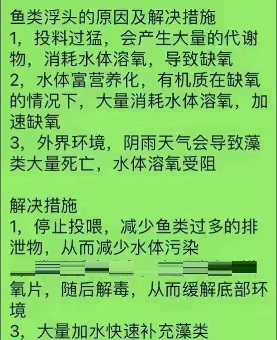 龍魚浮頭是否需要停食