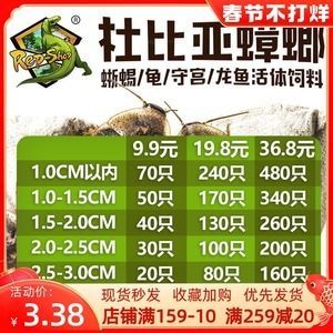 龍魚飼料配方比例表大全：一份詳細的龍魚飼料配方比例表