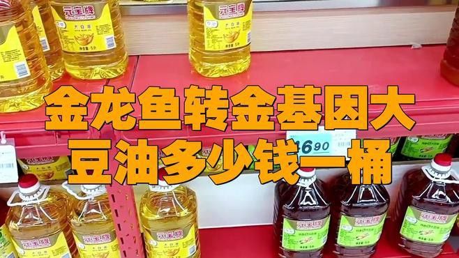 金龍魚哪個(gè)系列油性價(jià)比最高？