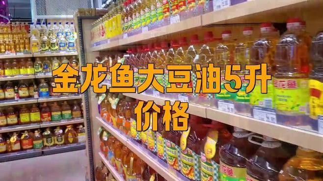 金龍魚哪個(gè)系列油性價(jià)比最高？