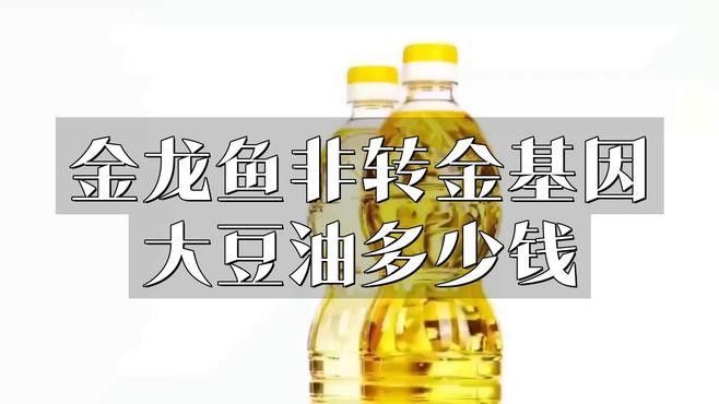 金龍魚哪個(gè)系列油性價(jià)比最高？