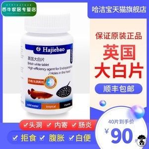 龍魚大白片能內服嗎：龍魚大白片可以內服嗎