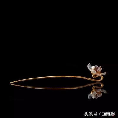 金龍魚魚鱗有一串點點【金龍魚魚鱗出現(xiàn)一串點點】