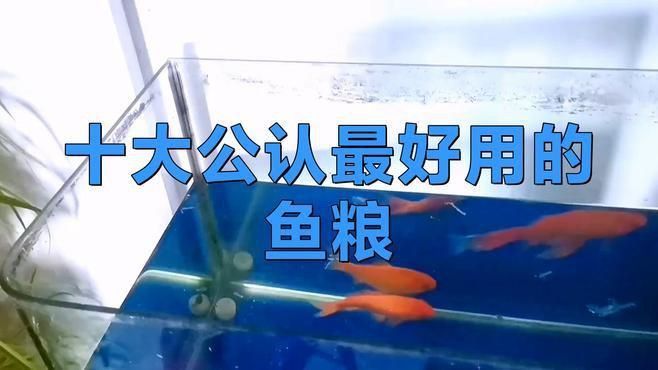 口碑最好的魚飼料